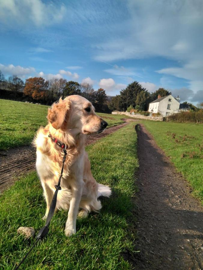 The Old Rectory Bed & Breakfast Abergavenny Εξωτερικό φωτογραφία